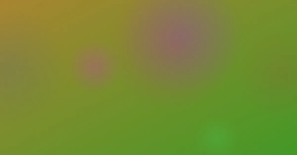 男人和女人视频攻略：怎么选不踩雷
